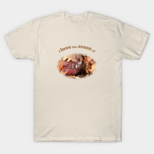Football in the fall T-Shirt